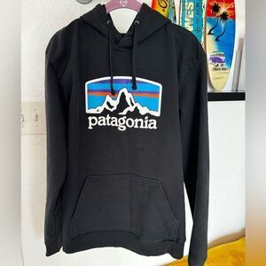 Patagonia Hoodie